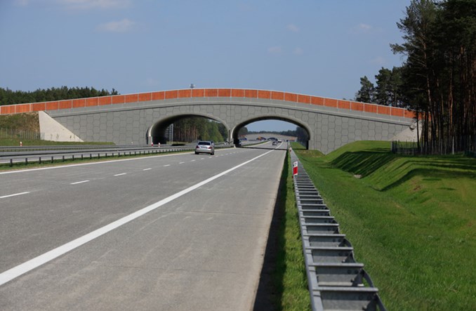 SPC: W Polsce musi być miejsce dla dróg betonowych i asfaltowych