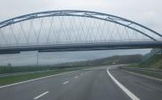 Czy na autostradzie A2 staną znaki "Uwaga niebezpieczne zwierzęta"?