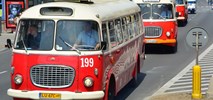 Jak miasta świętują Dzień bez Samochodu?