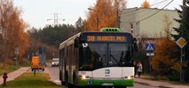 Prywatny przewoźnik w Białymstoku? Nie potrzeba