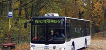 Toruń zamawia elektrobusy. Sześć, a może osiem