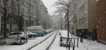 Drogowa sól szkodzi! Ale co w zamian?