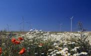 Erbud wybuduje farmę wiatrową dla GDF Suez 