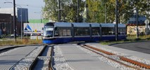 Bydgoskie Swingi z homologacją