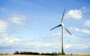PSEW: „Zielona ustawa” uderzy w zieloną energię? 