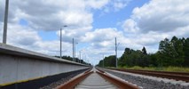 Rekord na Rail Baltice – PLK trzeci rok szuka projektanta