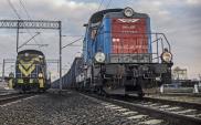 PLK modernizuje infrastrukturę portach Szczecin i Świnoujście