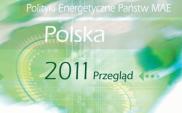 Raport o sytuacji energetycznej Polski