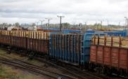 PKP Cargo liczy na rozwój kolejowych połączeń z Chinami