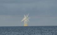 Nowelizacja ustawy ułatwi budowę farm wiatrowych na Bałtyku