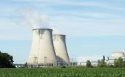 Prof. Mielczarski: W Polsce nie ma miejsca na elektrownię jądrową