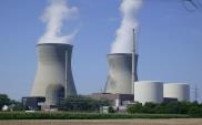Tchórzewski: Wolę energetykę jądrową niż farmy na wodzie