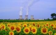 Ministerstwo Energii: 61% Polaków popiera budowę atomówki