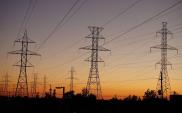 Nowi wiceministrowie energii