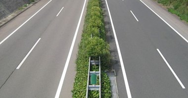 S7 Warszawa – Grójec: Budowa wciąż niepotwierdzona, ale potrzebna S7 Warszawa – Grójec: Budowa wciąż niepotwierdzona, ale potrzebna