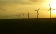 Konsorcjum Elektromontażu Wschód wykona farmę wiatrową Parsówek