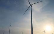 Rząd zakontraktował „zieloną” energię za ponad 1 mld zł
