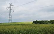 Piechociński: Most Polska - Litwa wzmocni bezpieczeństwo energetyczne
