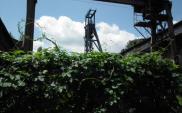 10 wstępnych ofert na zakup ZEC Katowice