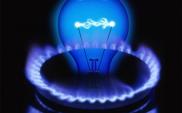 Ceny prądu i gazu bez większych zmian