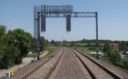 Torpol mocno się rozpędza i poprawia wyniki operacyjne