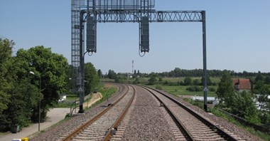 Grupa Torpol z rekordowym zyskiem netto w I półroczu