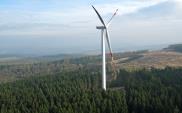 Vortex Energy do końca roku zbuduje 11 farm wiatrowych