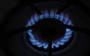 Poznań kupi gaz dla grupy zakupowej 