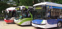 Kraków nie poddaje się: przetarg na cztery elektrobusy