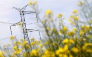 Most energetyczny Polska - Litwa będzie zakończony w terminie