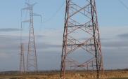 PSE: Przetarg na rozbudowę stacji 400/220/110 kV Pątnów