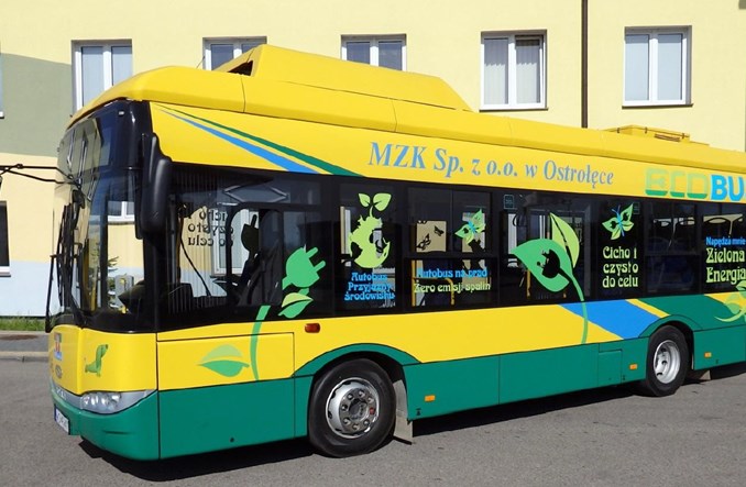 Ostrołęka wreszcie dostała jakieś oferty na elektrobusy. Drogie
