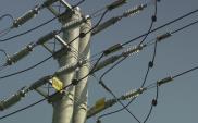 Mazowieckie: Jest przetarg na linię energetyczną Łomianki – Czosnów	