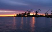 Port Gdynia: 19,4 mln ton przeładunków, 110 mln zł zysku