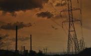 Tobiszowski: Elektrownia jądrowa szansą dla firm z sektora górniczego