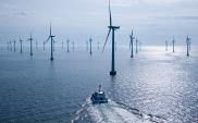 Belgia: Powstanie sztuczna wyspa energetyczna