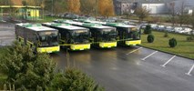 Solaris pokonał MANa w Szczecinie i Policach