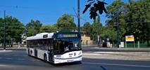 Toruń. Ursus dużo tańszy od Solarisa