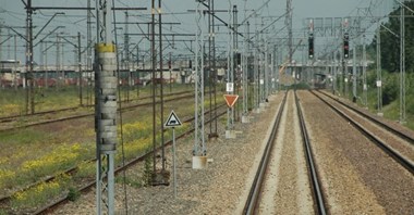 Wyniki wyborów: Kim są nowi posłowie?