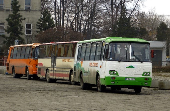 Publiczny transport zbiorowy w Polsce. Studium upadku