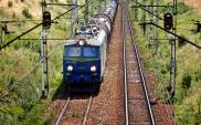 Rekordowe wyniki przewozów intermodalnych koleją