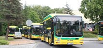 Tychy. Trudności z przetargami na autobusy CNG
