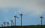 W Polsce już ponad 5000 MW mocy farm wiatrowych