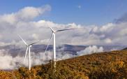 Iberdrola wybuduje farmę wiatrową Marszewo za 124 mln zł