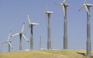 Wielkopolskie: Acciona wybuduje farmę wiatrową