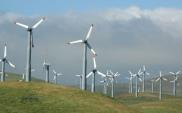 Veolia: Prawo energetyczne wymaga uściślenia