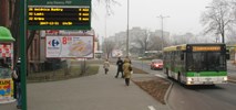 Elektryczna Zielona Góra. MZK prowadzi dialog na 80 elektrobusów