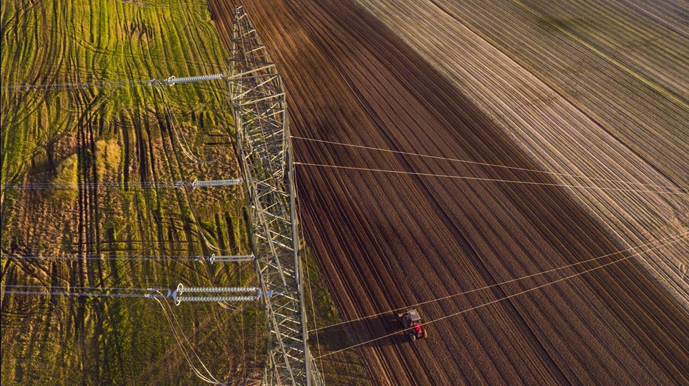 Budimex wybuduje stację elektroenergetyczną w woj. lubuskim