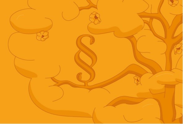 Unijne Rozporządzenie o „odbudowie przyrody” a inwestycje mieszkaniowe i drogowe