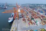 Port Gdynia zaprasza potencjalnych partnerów do dialogu technicznego 